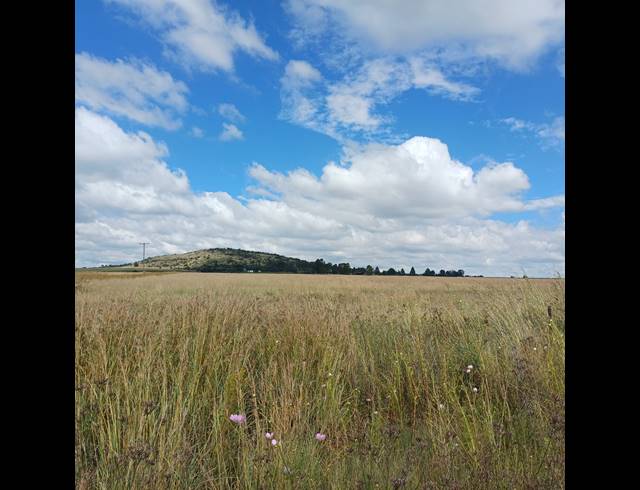 8.50HA VACANT LAND FOR SALE IN STERKFONTEIN AH